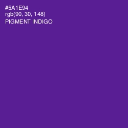 #5A1E94 - Pigment Indigo Color Image